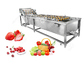 Αυτόματος εξοπλισμός επεξεργασίας πλύσης φρούτων και λαχανικών πλυντηρίων φρούτων και λαχανικών προμηθευτής