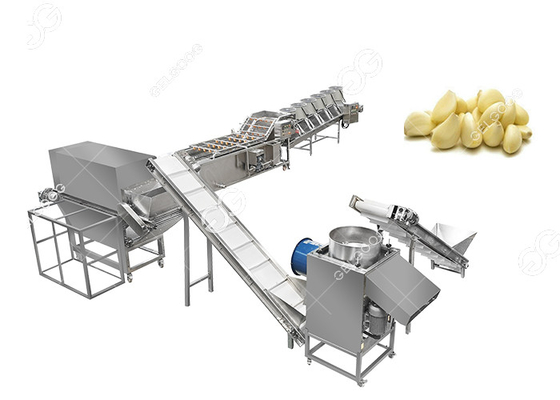 Κίνα Το CE πιστοποίησε το εμπορικό σκόρδο που χωρίζει Peeler σκόρδου γραμμών παραγωγής συσκευασίας αποφλοίωσης το πρόγραμμα μηχανών προμηθευτής