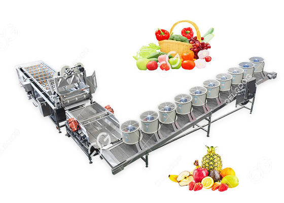 Κίνα Αποδοτική προσαρμοσμένη γραμμή παραγωγής πλύσης και ξήρανσης φρούτων και λαχανικών προμηθευτής