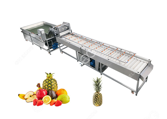 Κίνα Μεγάλη επεξεργασία φρούτων μηχανών καθαρισμού ανανά παραγωγής Equipment2T/H προμηθευτής