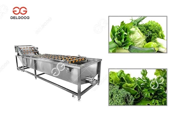 Κίνα 300-5000KG/H πράσινο πλυντήριο φύλλων πλυντηρίων φυλλωδών λαχανικών προμηθευτής