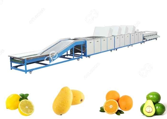 Κίνα 1t/H-5t/H γραμμή πλύσης φρούτων εξοπλισμού πλύσης φρούτων για τις πωλήσεις προς εξαγωγή φρούτων προμηθευτής