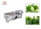 Επικυρωμένο CE πλυντήριο της Apple μάγκο φρούτων μηχανών επεξεργασίας φρούτων ανοξείδωτου προμηθευτής