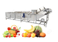 Αυτόματη πλήρης γραμμή παραγωγής χυμού φρούτων για τα πρότυπα CE Commerical προμηθευτής