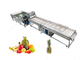 Μεγάλη επεξεργασία φρούτων μηχανών καθαρισμού ανανά παραγωγής Equipment2T/H προμηθευτής