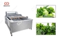 300-5000KG/H πράσινο πλυντήριο φύλλων πλυντηρίων φυλλωδών λαχανικών προμηθευτής
