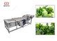 300-5000KG/H πράσινο πλυντήριο φύλλων πλυντηρίων φυλλωδών λαχανικών προμηθευτής