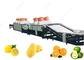 1t/H-5t/H γραμμή πλύσης φρούτων εξοπλισμού πλύσης φρούτων για τις πωλήσεις προς εξαγωγή φρούτων προμηθευτής